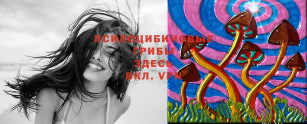 Альфа ПВП Бородино