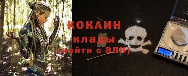 Альфа ПВП Бородино