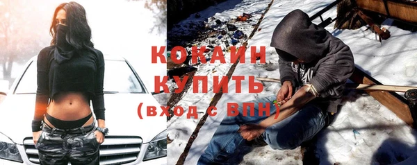 Альфа ПВП Бородино