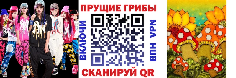 Галлюциногенные грибы Cubensis  цены   mega рабочий сайт  Троицк 